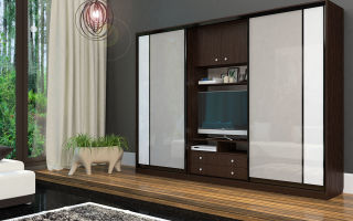 What are the closets with a niche for a TV, an overview of models