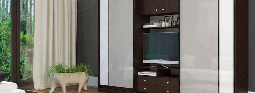 What are the closets with a niche for a TV, an overview of models