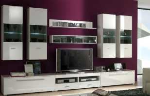 Característiques de l'elecció d'armaris modulars a la sala d'estar i els seus models