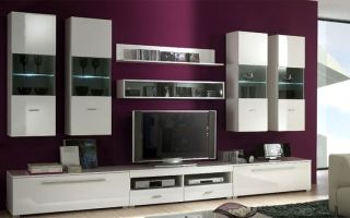 Características da escolha de armários modulares na sala de estar e seus modelos