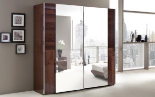 Criteria for choosing cabinets with mirrors, an overview of models