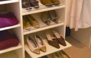 Cuenta con estantes para zapatos para el gabinete, cómo elegir