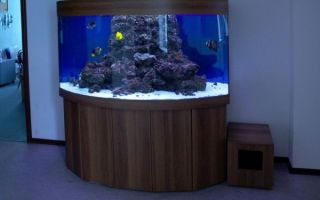 Making a stand for an aquarium, how to do it yourself