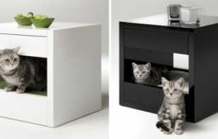Opcions per a mobles per a gats, consells útils per triar