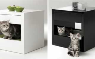 Možnosti nábytku pro kočky, užitečné tipy pro výběr