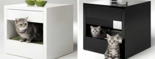 Kediler için mobilya seçenekleri, seçim için yararlı ipuçları