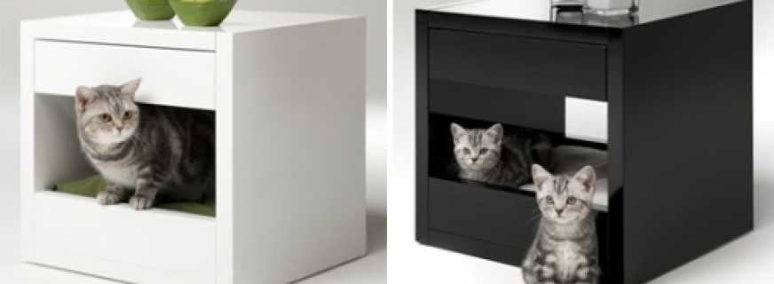 Options for furniture for cats, useful tips for choosing