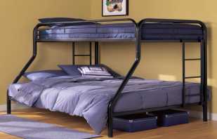Карактеристике кревета на спрат за одрасле, њихове сорте