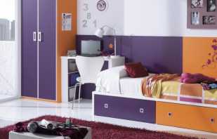 Descripción general de las camas para adolescentes, los matices de elegir las opciones adecuadas