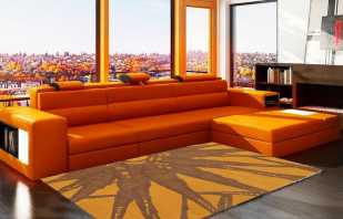 Eine Win-Win-Kombination aus einem orangefarbenen Sofa und Interieurstilen