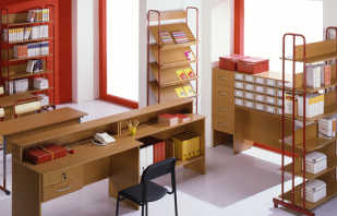 Panoramica dei mobili della scuola, caratteristiche importanti e regole di selezione