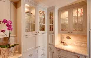 Features of kitchen cabinets for dishes, the nuances of selection