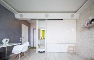 Opzioni per organizzare i mobili in un monolocale, consigli di design