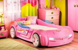 Kodėl merginų automobilinės lovos yra tokios populiarios, pagrindinės jų savybės