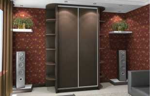 Overview of wenge color sliding wardrobes, selection rules