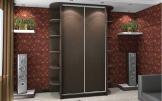 Overview of wenge sliding wardrobes, selection rules