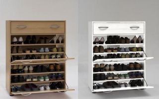 Koridorda ayakkabı için dar dolap seçiminin özellikleri