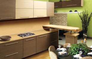 Pilihan untuk perabot kabinet di dapur, tips untuk memilih