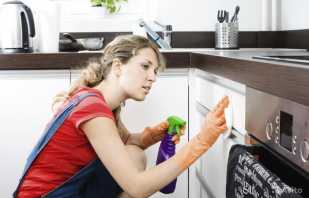 Façons d'éliminer la graisse des meubles de la cuisine plutôt que de les laver