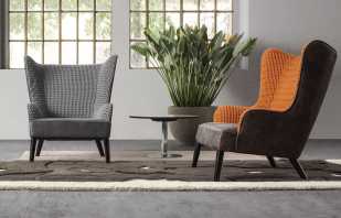 הניואנסים של בחירת כסאות בסלון, החלטות בסגנון פופולרי