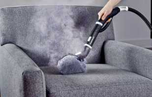 Com eliminar una olor desagradable d’un sofà, netejant amb remeis populars