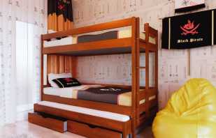 Kriteriji za odabir kreveta na kat, njihove funkcionalne značajke