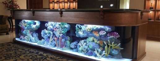 Les nuances de placer une table d'aquarium, de la faire vous-même