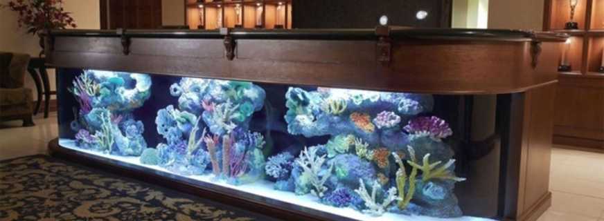 The nuances of placing an aquarium table, making it yourself