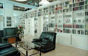 Ofereix llibreries i biblioteques per a la llar, una revisió de models