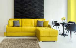 Pravila za odabir žute sofe, najuspješnije boje za druženje