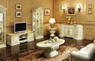 Merkmale der Auswahl der Möbel im Wohnzimmer im klassischen Stil realisiert