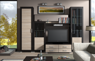 La elección de muebles modulares en la sala de estar, asesoramiento de expertos.