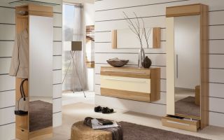 Modern bir tarzda koridor için mobilya seçenekleri ve ayırt edici özellikleri