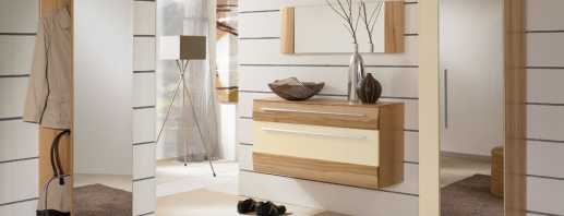 Opciones de muebles para el pasillo en un estilo moderno y sus características distintivas.