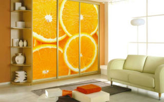 Features of sliding wardrobes with photo printing, model overview