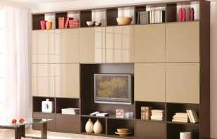 Optionen für Möbelfassaden für Schränke, Auswahlregeln