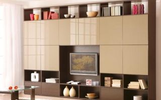 Options for furniture facades for cabinets, selection rules