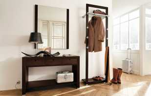 Regler för att placera en spegel i korridoren, tips för val och design
