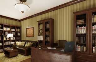 Možnosti nábytku v domácej kancelárii, usporiadanie pracovného priestoru