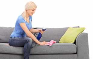 Os melhores meios para limpar o sofá, receitas populares