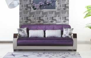 Features of the use of the purple sofa, manufacturing materials