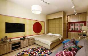 Les varietats de llits es transformen en un apartament de mida petita i els matisos del disseny