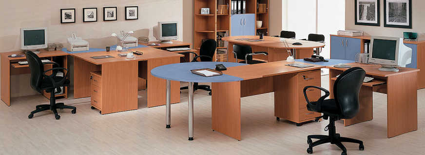 Ofis mobilyası seçenekleri, modele genel bakış