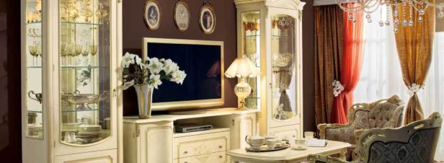 Características de la elección de gabinetes para vitrinas en la sala de estar, opciones existentes