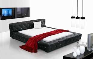 Gambaran keseluruhan katil kulit untuk dipertimbangkan untuk hayat perkhidmatan yang panjang