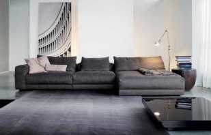 Moderni modelli di divani nel soggiorno: consigli per scegliere e posizionare