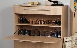 Τι είναι τα κομμωτήρια για τα παπούτσια, μια αναθεώρηση των μοντέλων