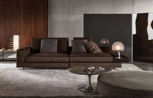 Interior amb un sofà marró, les normes d’elecció i ubicació
