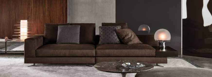 Interno con un divano marrone, le regole di scelta e posizione