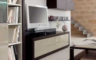 What can be the chest of drawers for TV, an overview of models